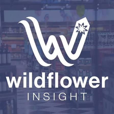 Get a Free 30 Minute Consult and 15% off all Services at Wildflower Insights