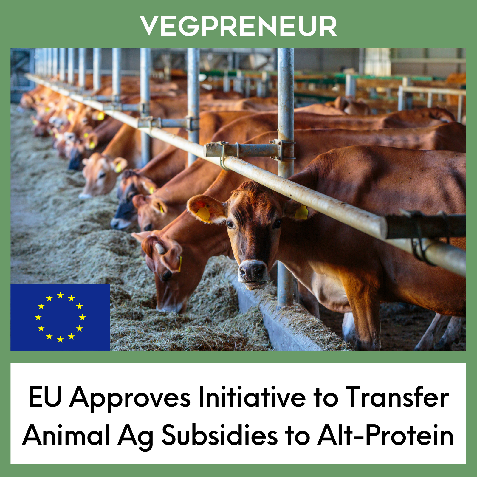 EU Approves Initiative to Transfer Animal Ag Subsidies to Alt-Protein Companies — VEGPRENEUR EU Approves Initiative to Transfer Animal Ag Subsidies to Alt-Protein Companies — VEGPRENEUR