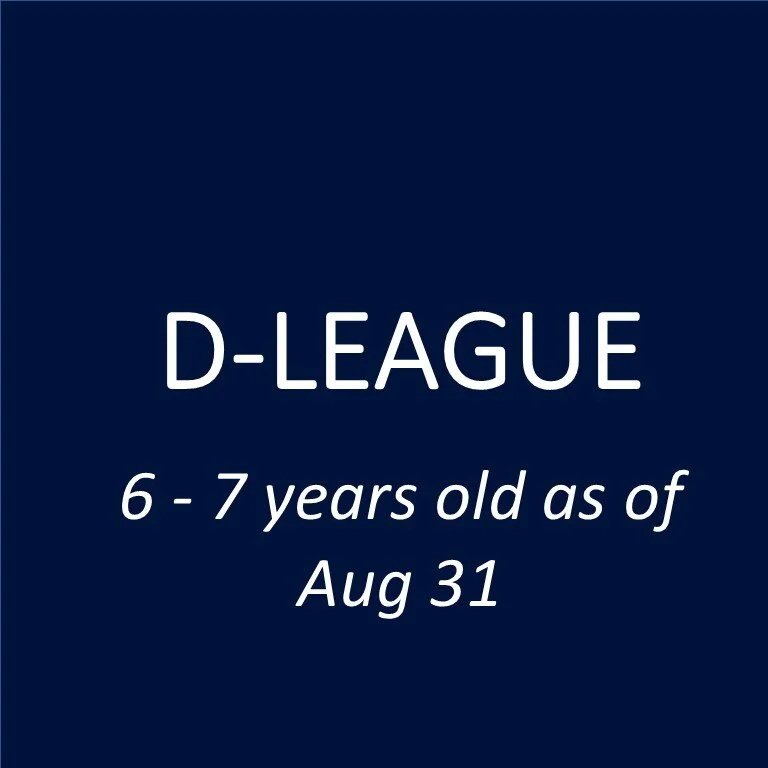 D-LEAGUE.jpg