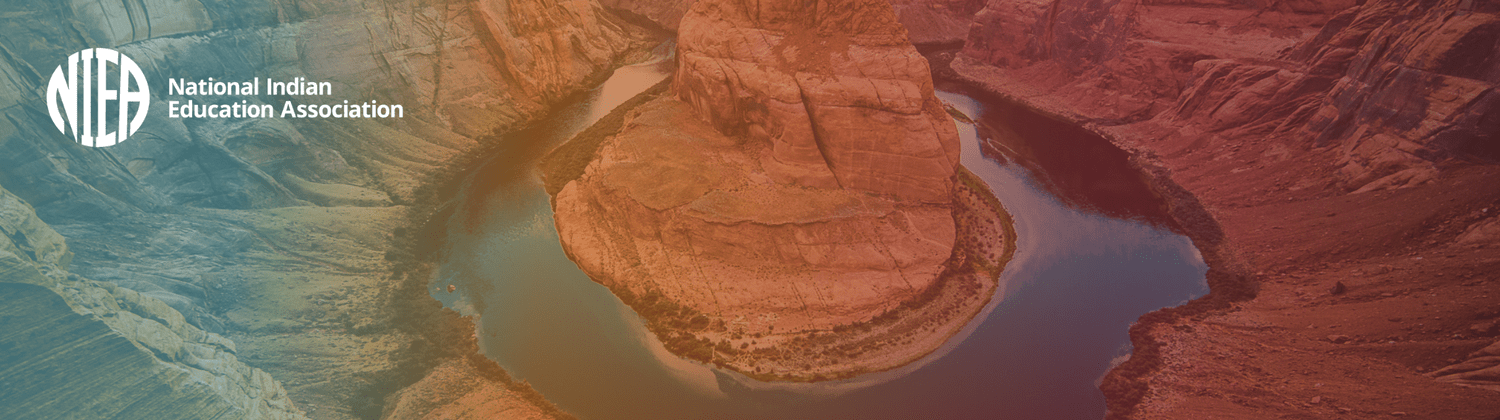 National Native Educator Landscape Analysis — National Indian Education ...