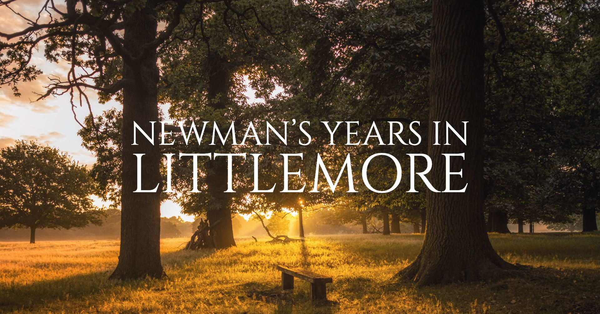 Newman's Years in Littlemore