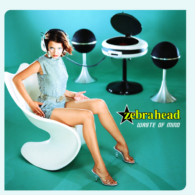 Zebrahead - Waste of Mind