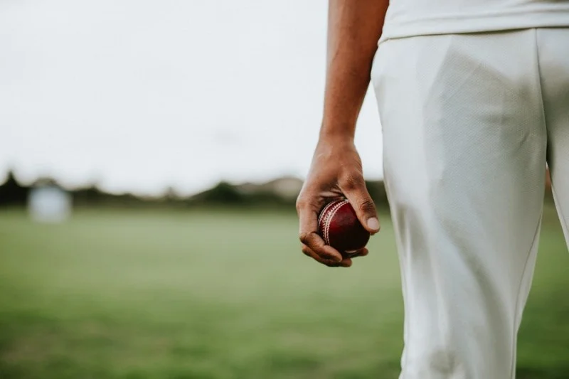 Cricket_General.jpg
