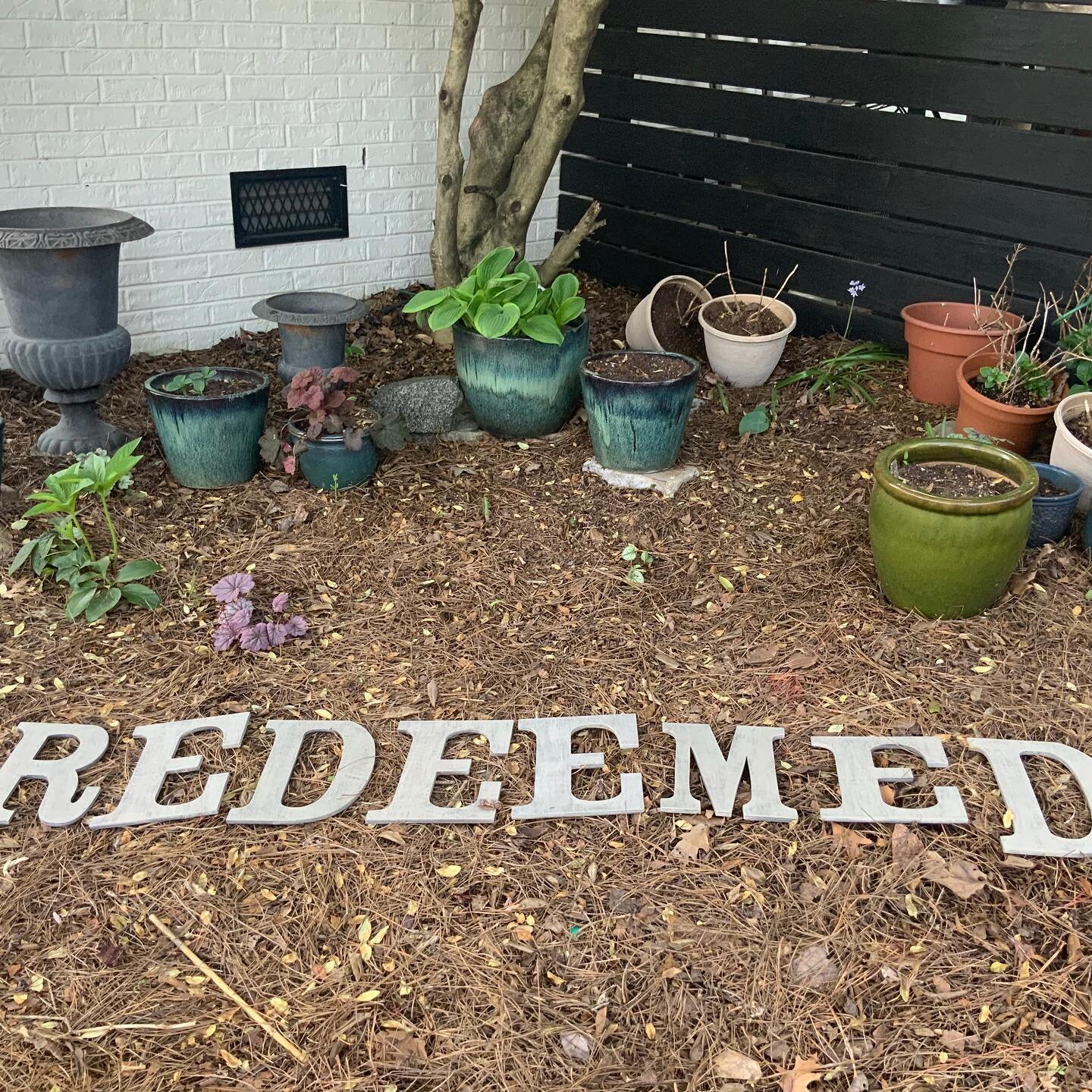 This is my shade garden . . . Not yet redeemed. We&rsquo;re giving away 5 REDEEMED Bible studies tomorrow + I found these great REDEEMED letters in my garage. I&rsquo;d love to send them to you.
.
Send your name and mailing address to kenzie@angelath