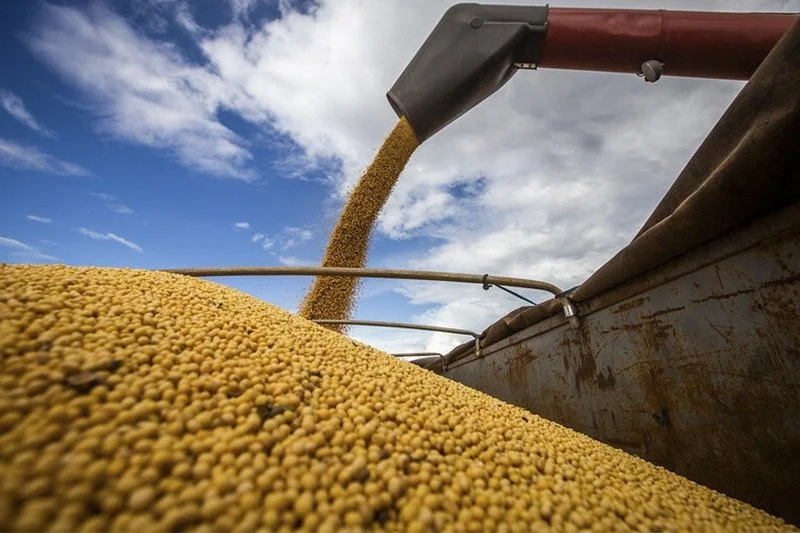 Market and Transport Logistics Study for Agricultural Bulk Commodities in Brazil