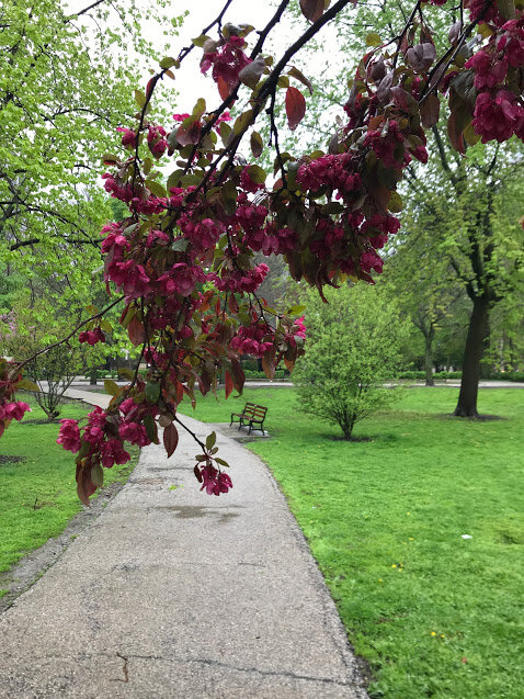 Planning for the Future During Uncertain Times