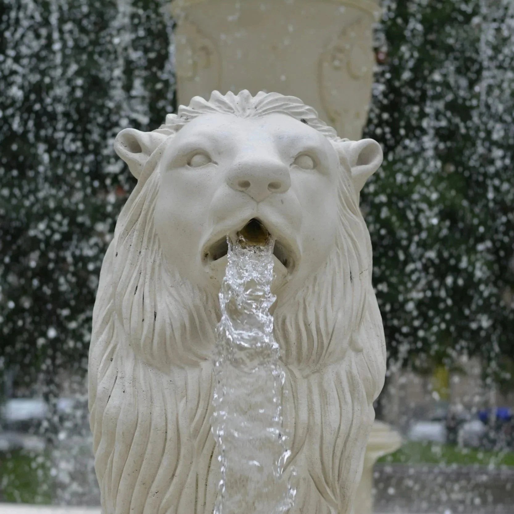 The Leo–Aquarius Axis in Astrology: Balancing Self-Expression and Community