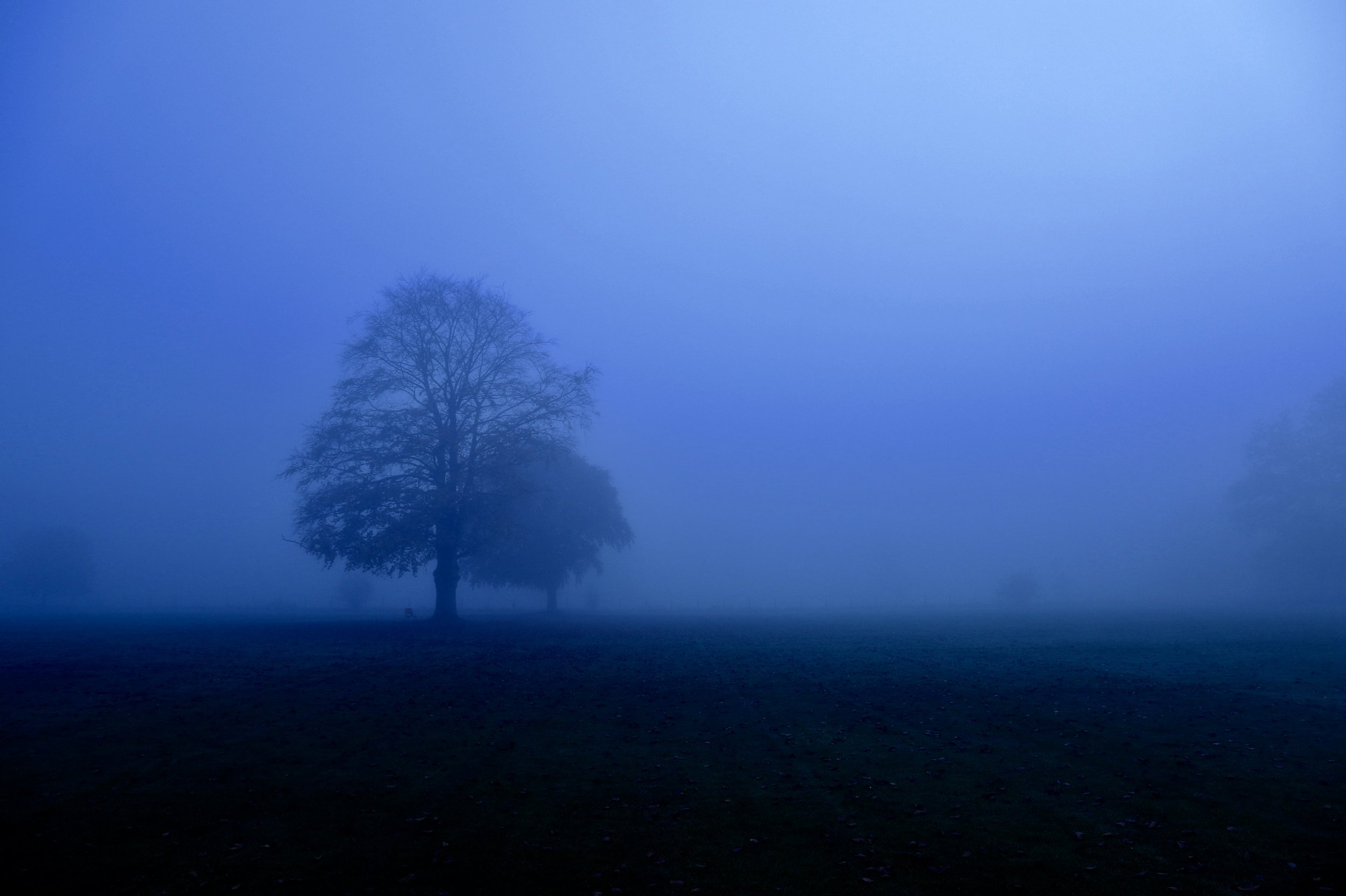Buckinghamshire, UK.