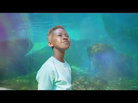 I Am St. Louis | Commerce Bank