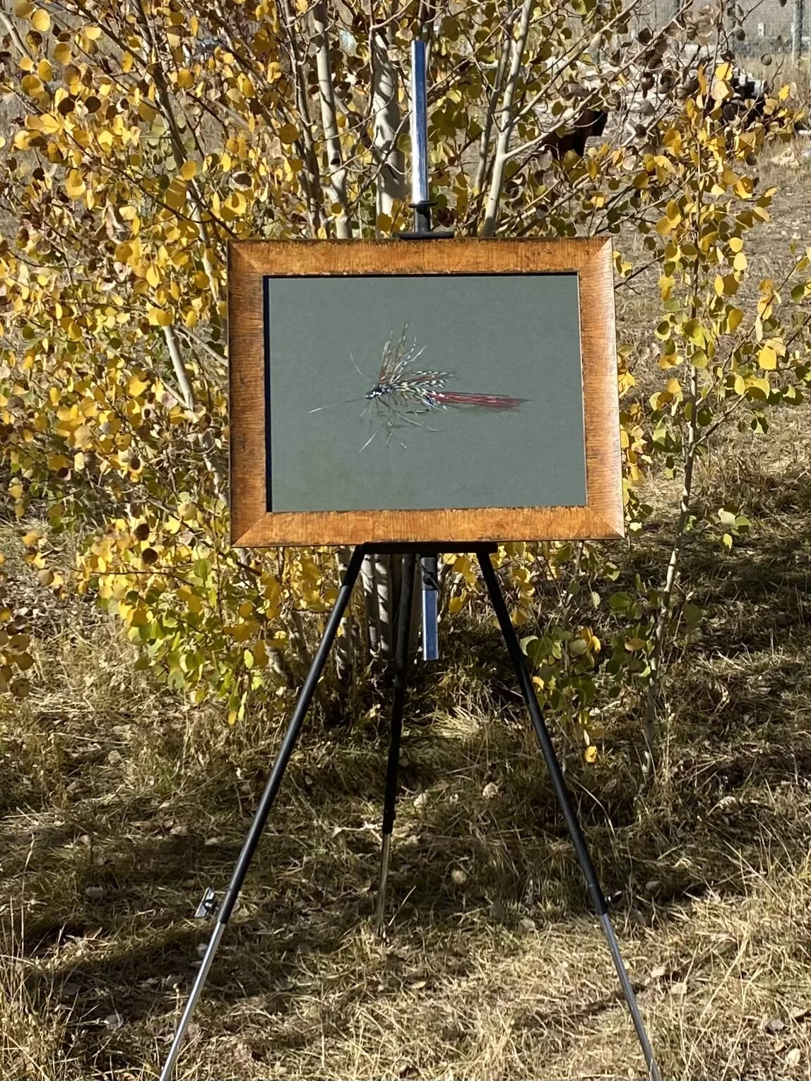 DE330BBD-5E28-4339-99AE-7A690852D6D8