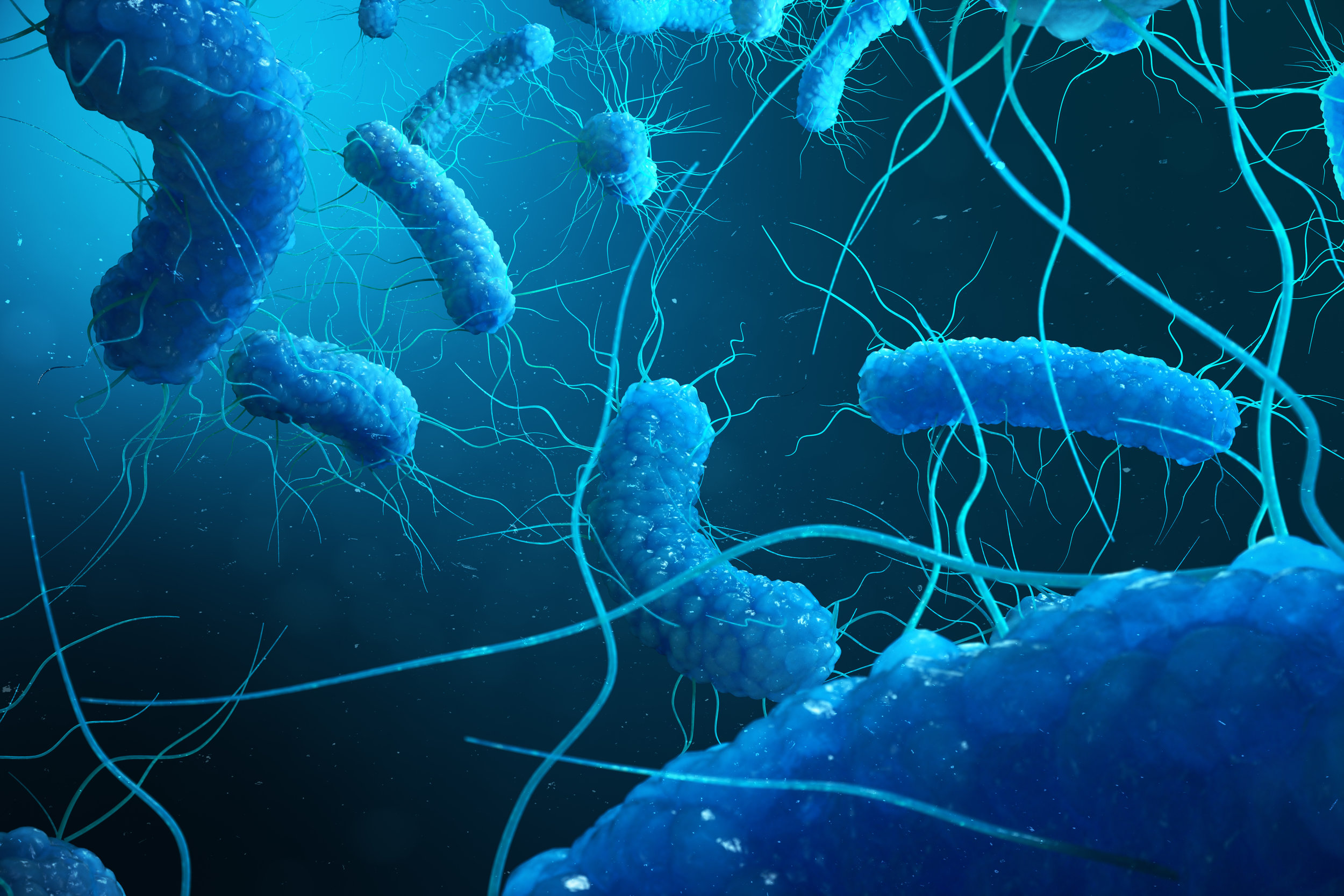 LEGIONELLA RISK ASSESSMENTS