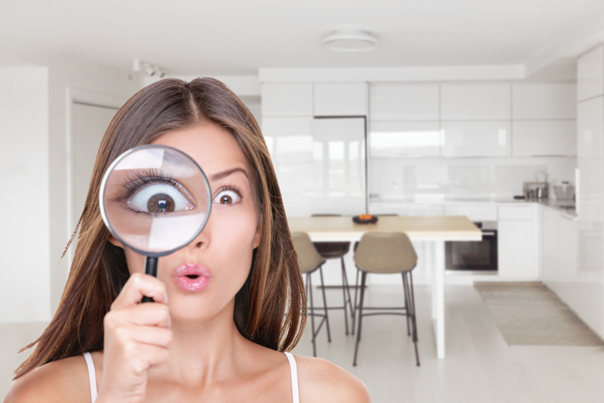 INVENTORIES AND INSPECTIONS