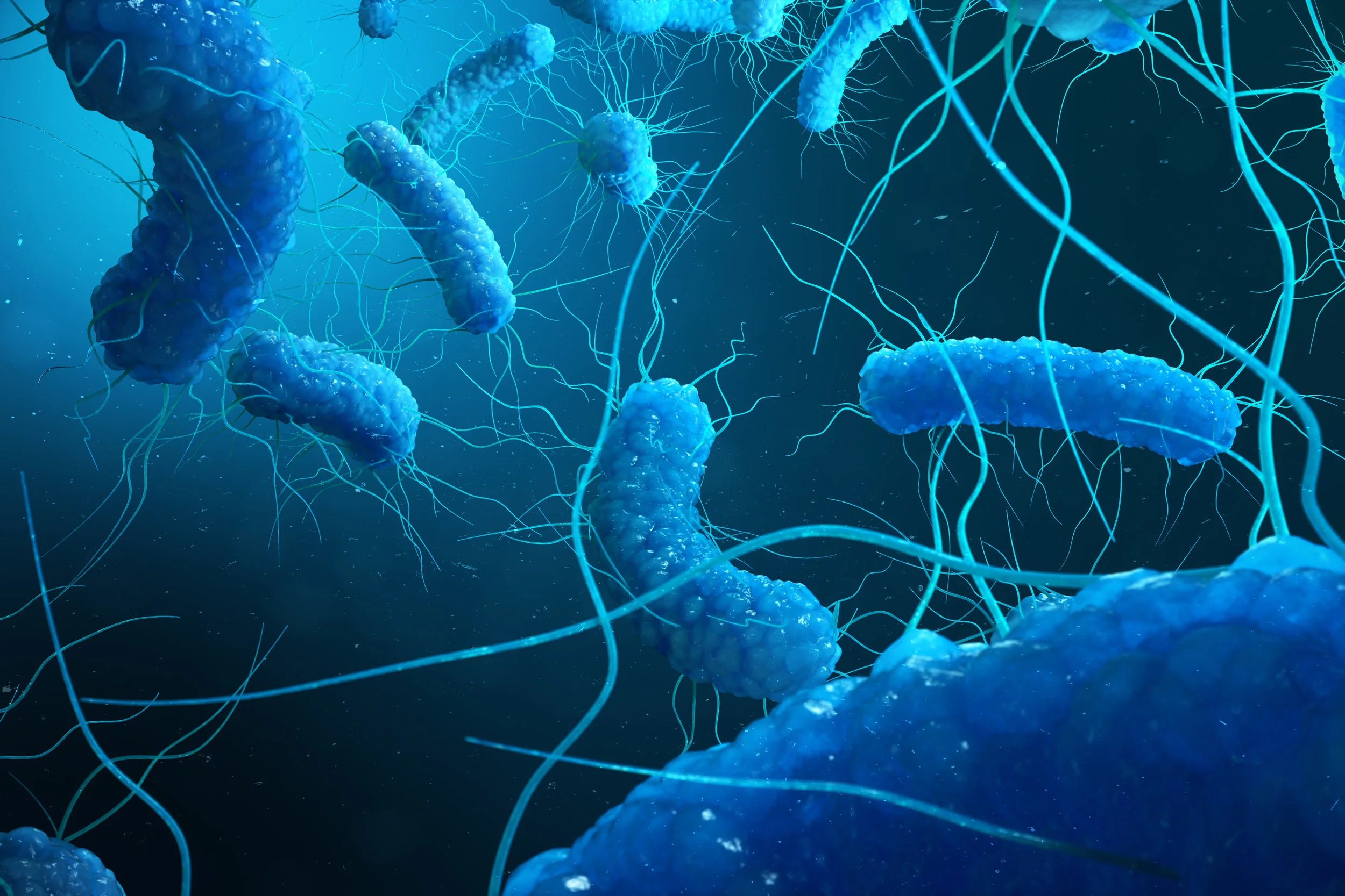 What is Legionella, anyway?