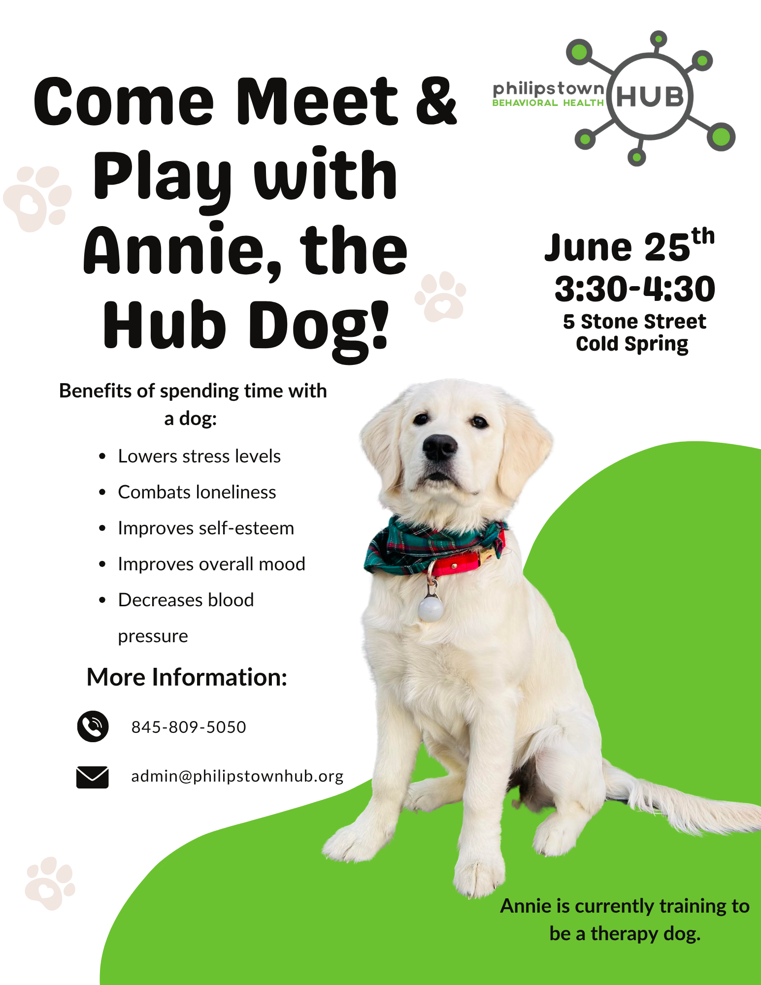Come Meet and Play With Annie-Therapy dog in training
