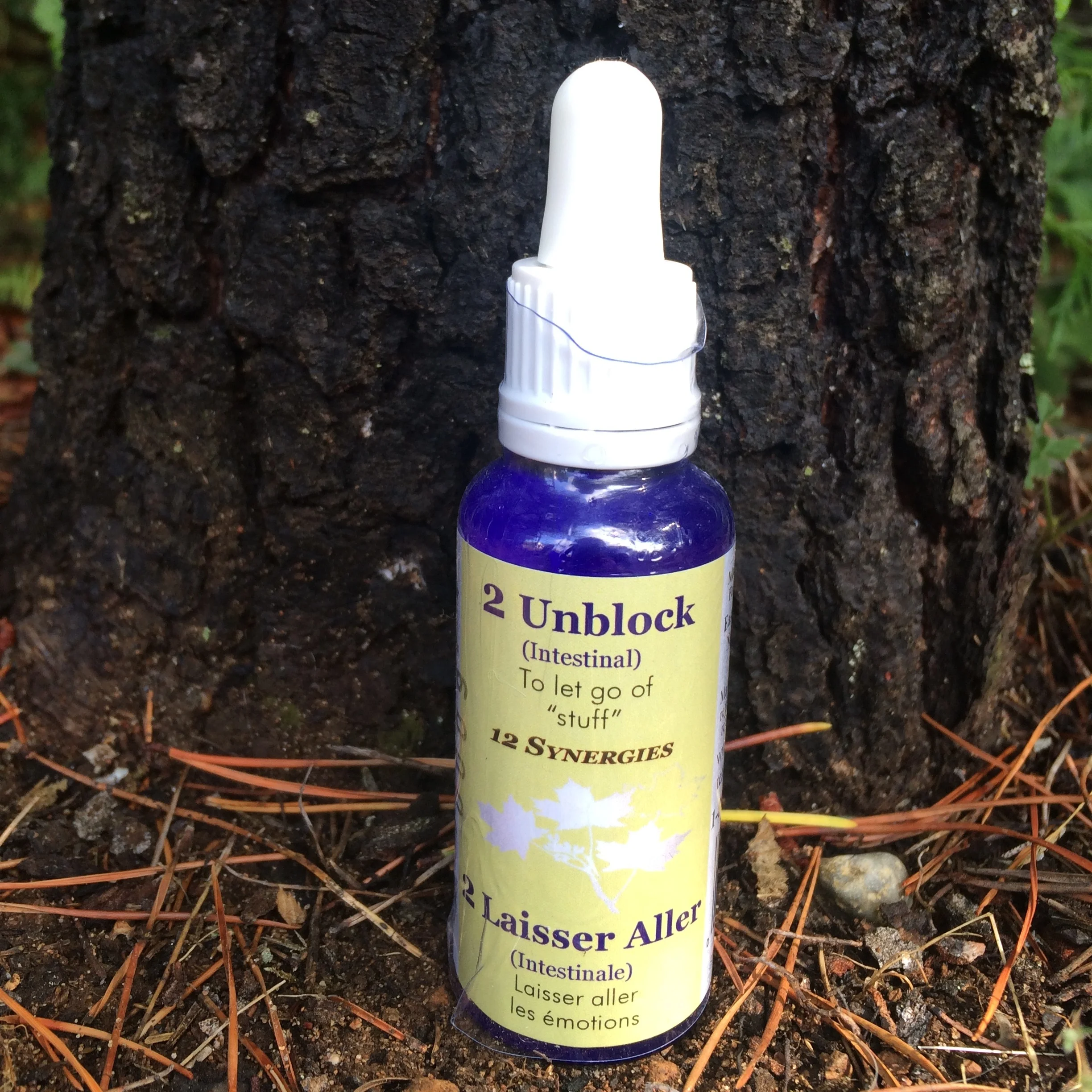 2. Unblock Essence (Intestinal)