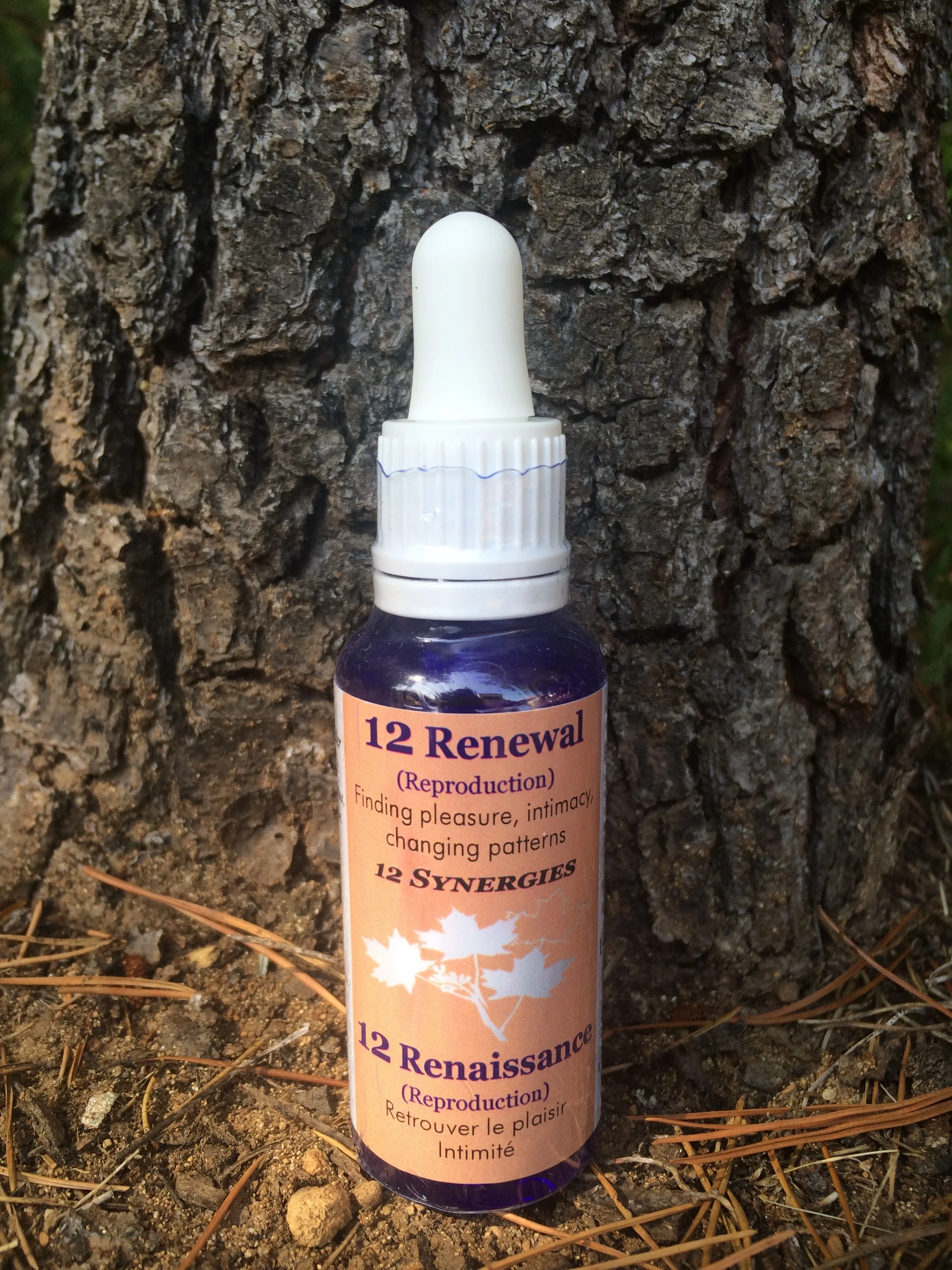 12. Renewal Essence (Reproduction)