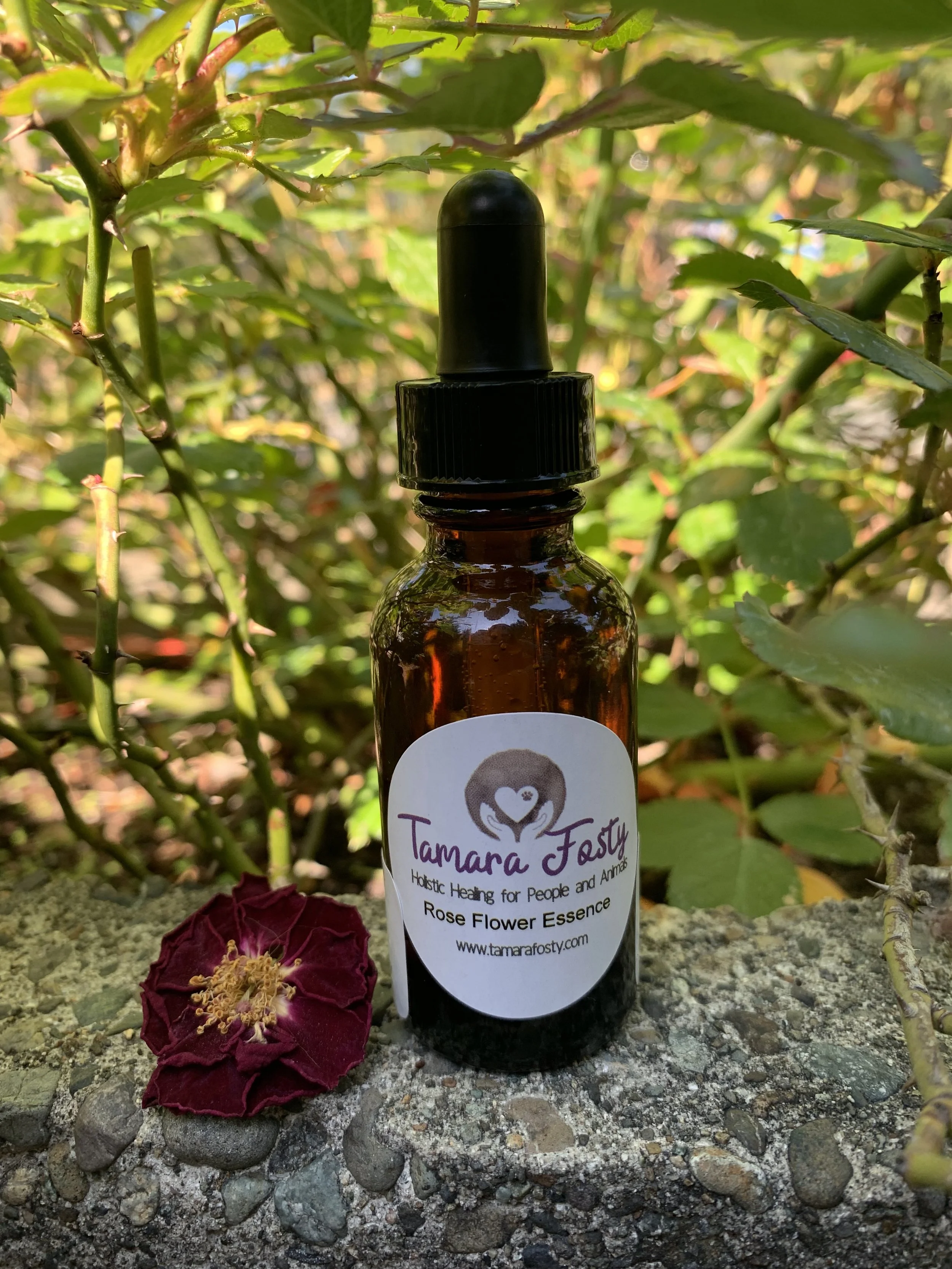 Rose Flower Essence 2.jpg