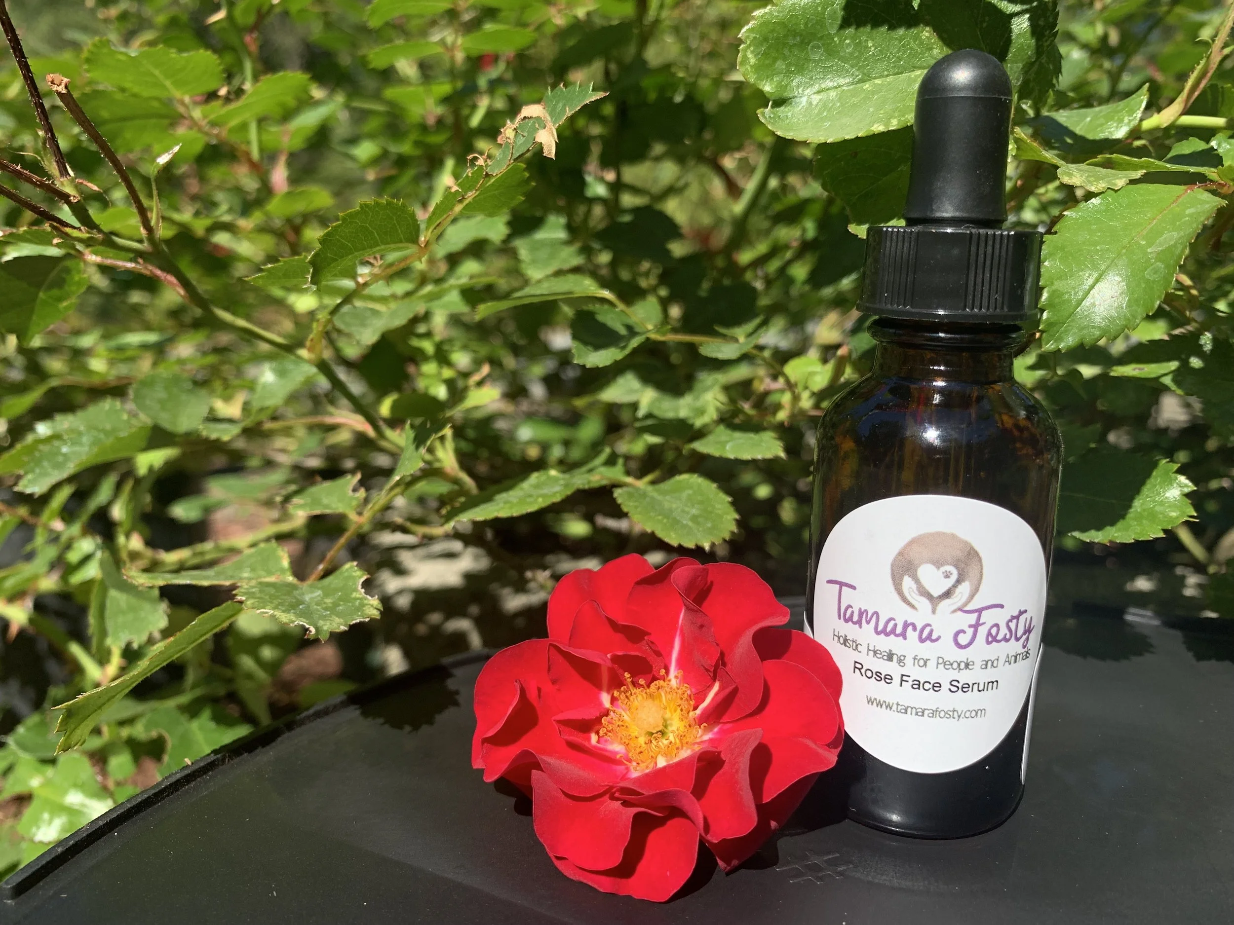 Rose Infused Face Serum
