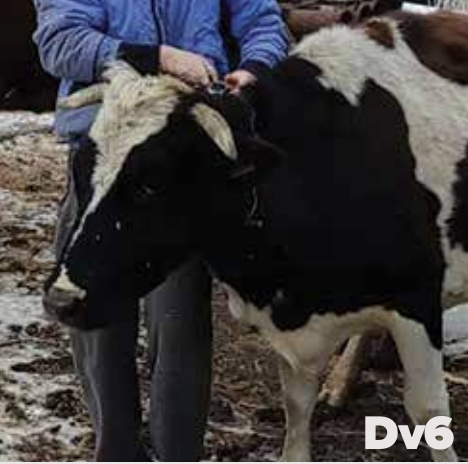 Screenshot 2025-11-18 at 12.11.46 PM.png