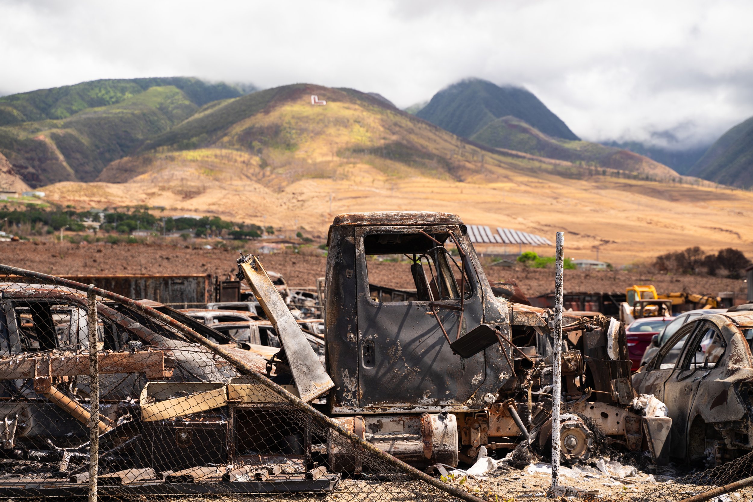 Maui_Wildfires_website 1.jpg