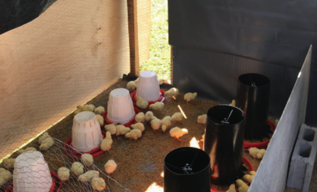 Screenshot 2024-11-07 at 1.51.50 PM.png