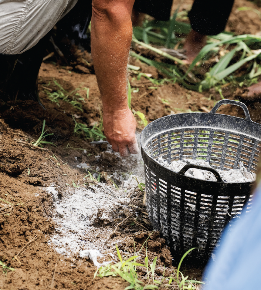 Screenshot 2024-11-05 at 10.04.16 AM.png