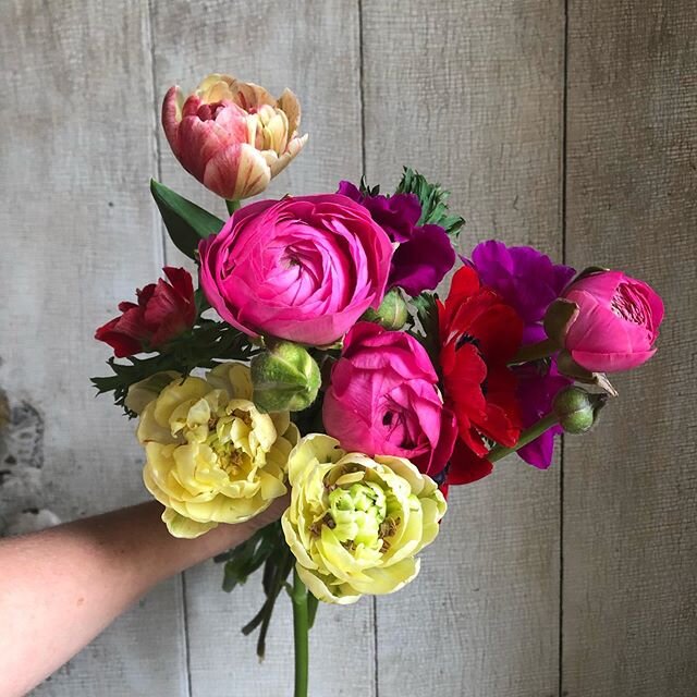 How about all this April snow? On a happier note, we&rsquo;ve got a few Saturday delivery spots left for these spring beauties. Order &ldquo;Weekly Seasonal Bouquet&rdquo; via the link in our bio. :::::::::::::::::::::::::::::::::::::::::::::::::::::