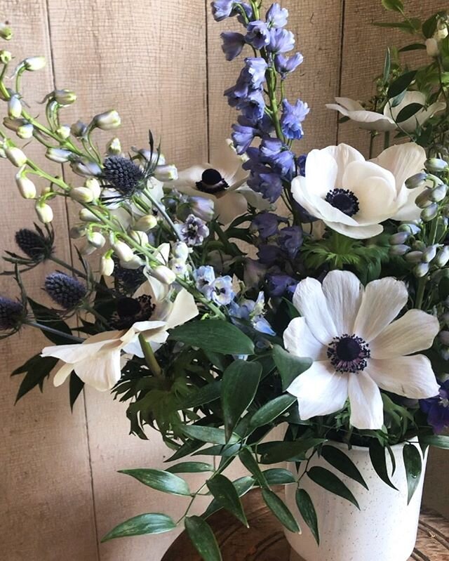 A type of Monday blues we can really get behind. 💙 ::::::::::::::::::::::::::::::::::::::::::::::::::::::::::::
#floralarranging #makeart #floralart #flowers #bouquet #eldred #barryville #callicoon #honesdale #floret #narrowsburgny #sullivancounty #