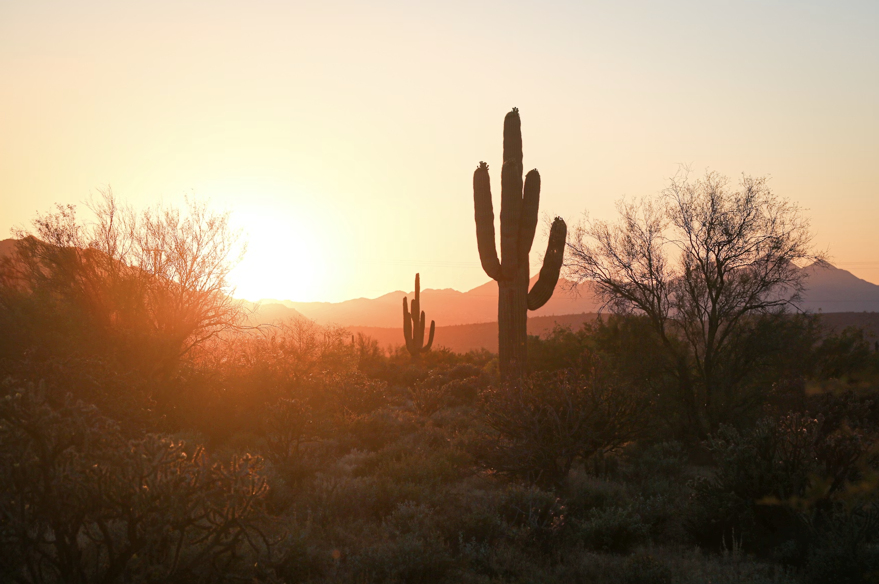 Santana Hierarchy Securities Licensing System