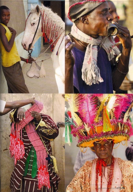 Wings Articles-7.jpg