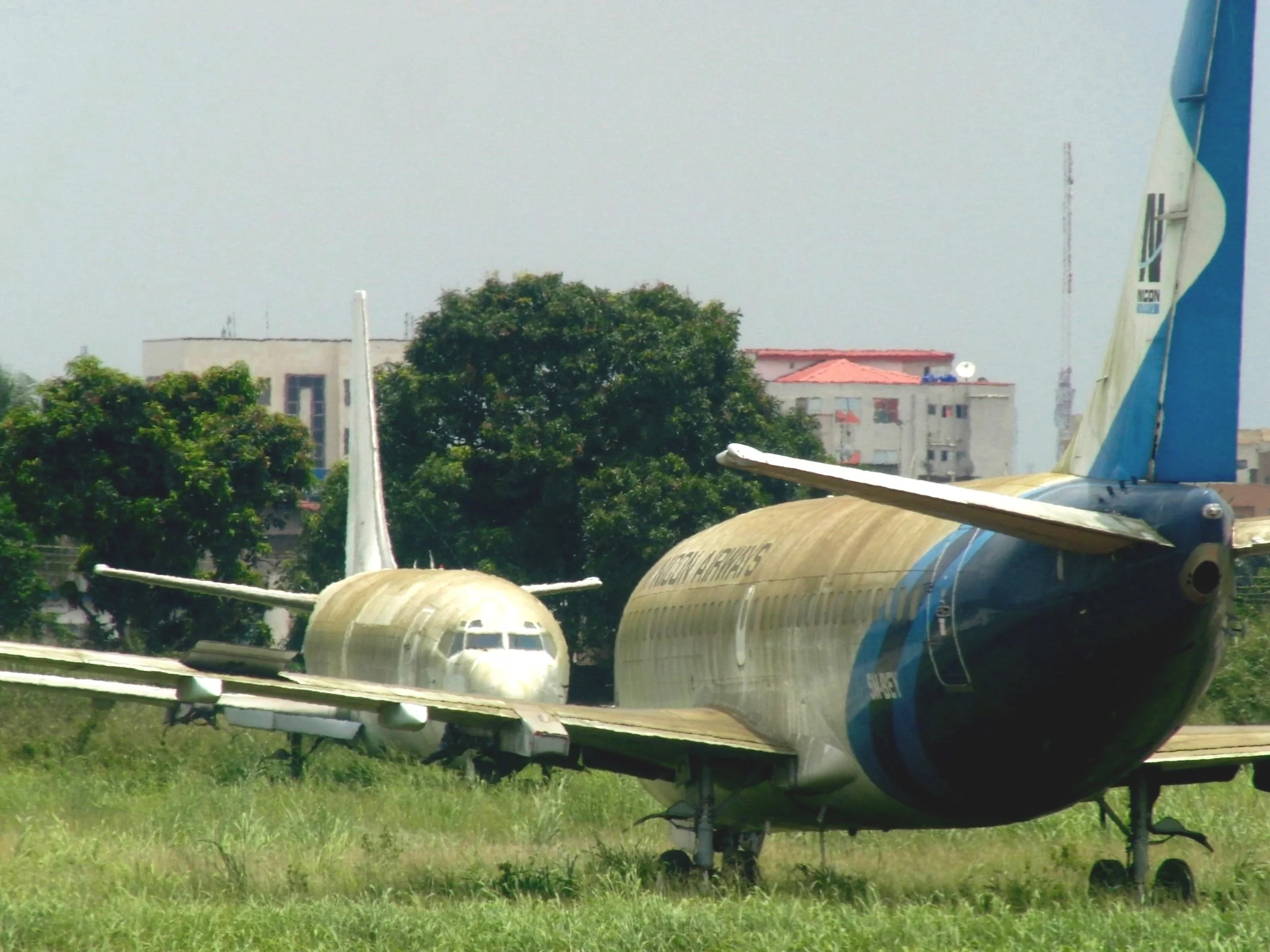 CIMG6766.jpg