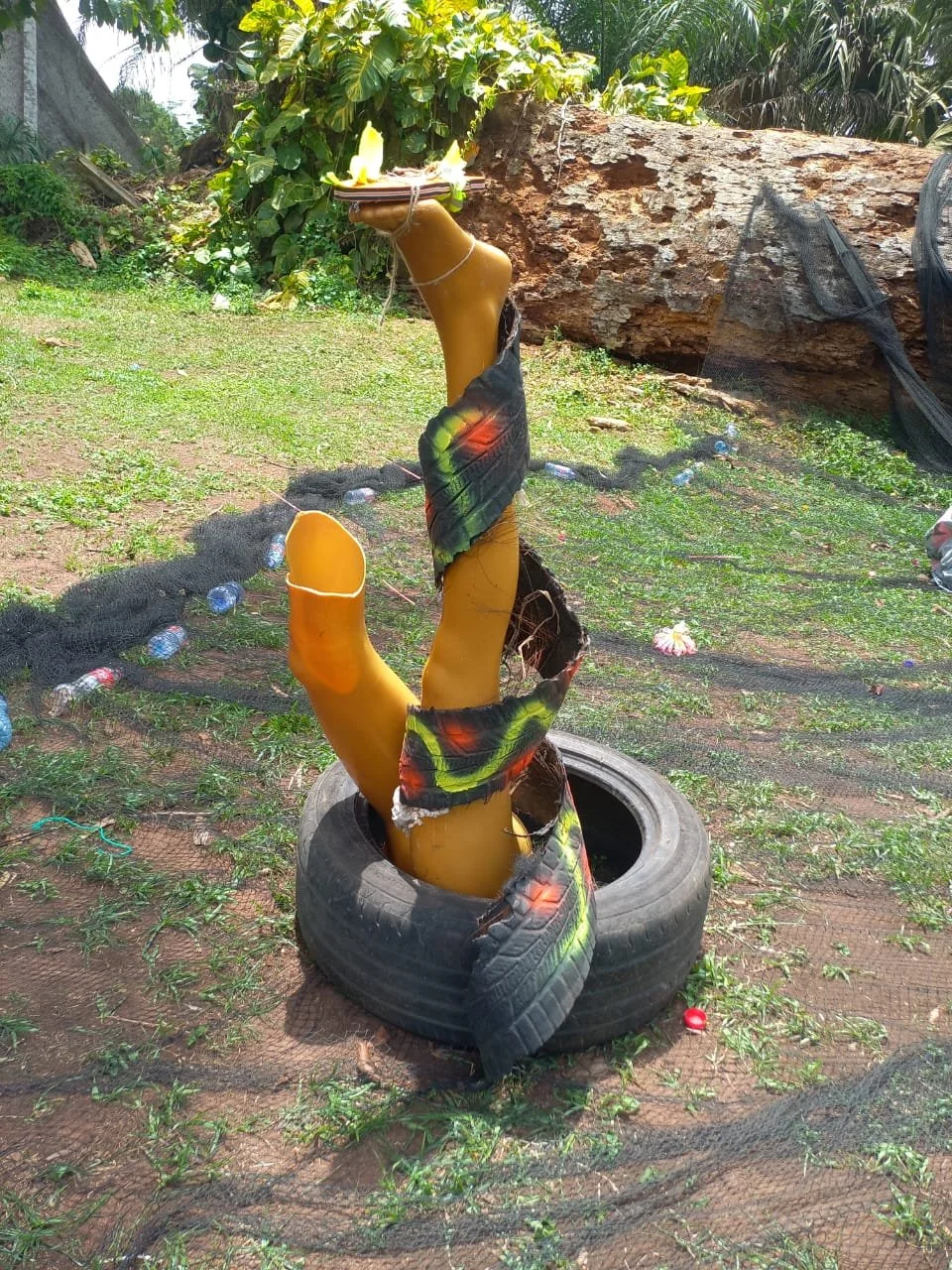 WhatsApp Image 2024-04-29 at 2.13.42 PM (1).jpeg