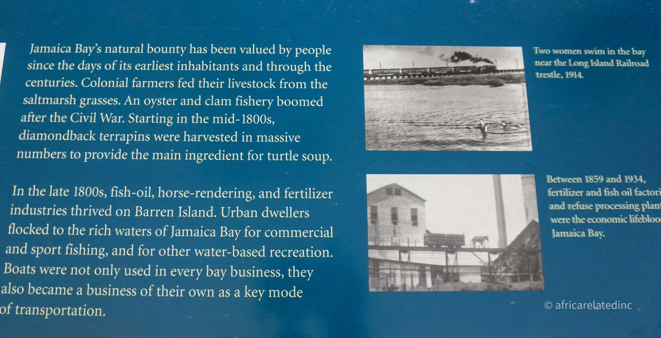 ARInc  - Jamaica Bay-09.jpg