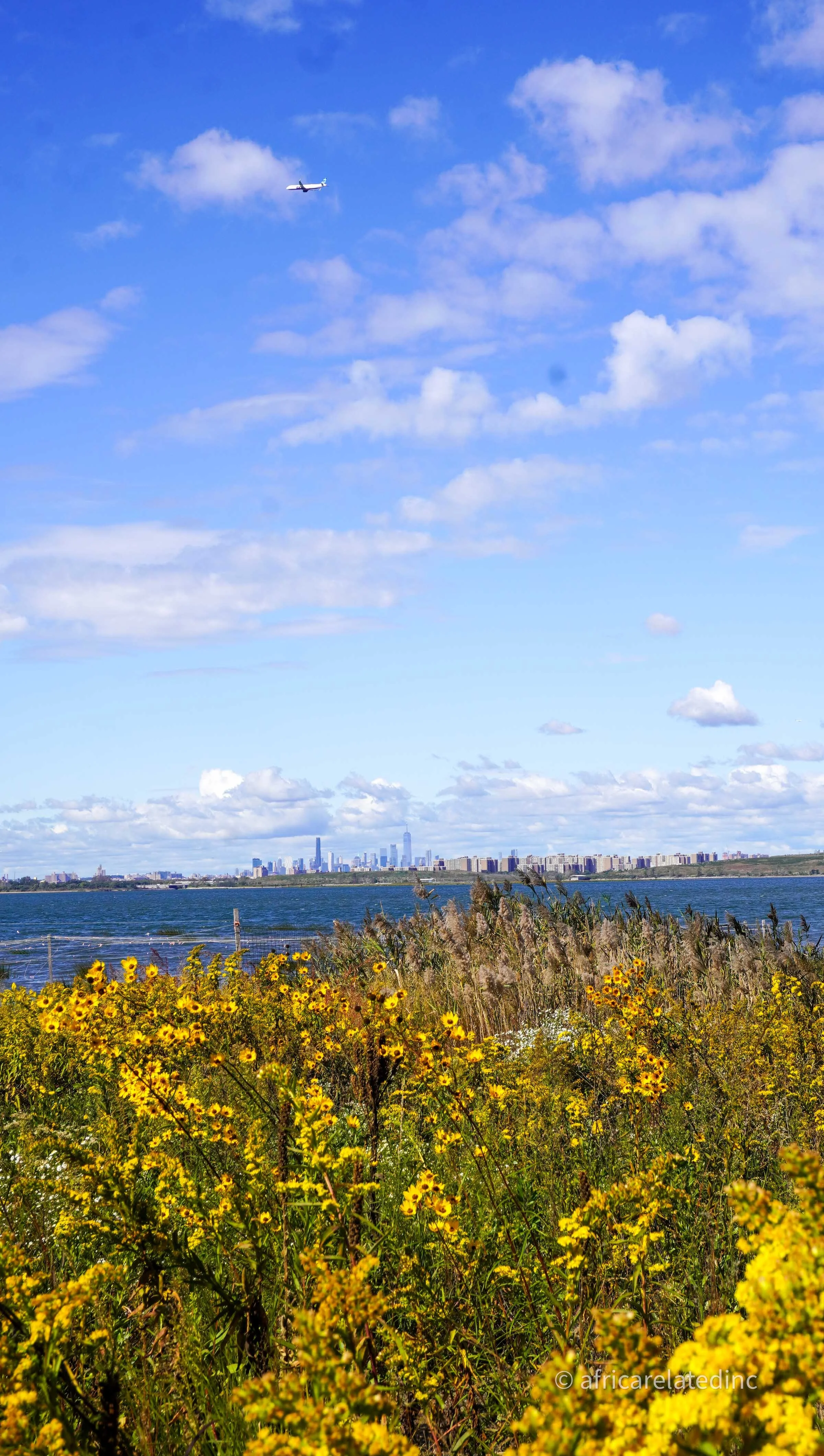 ARInc  - Jamaica Bay-35.jpg
