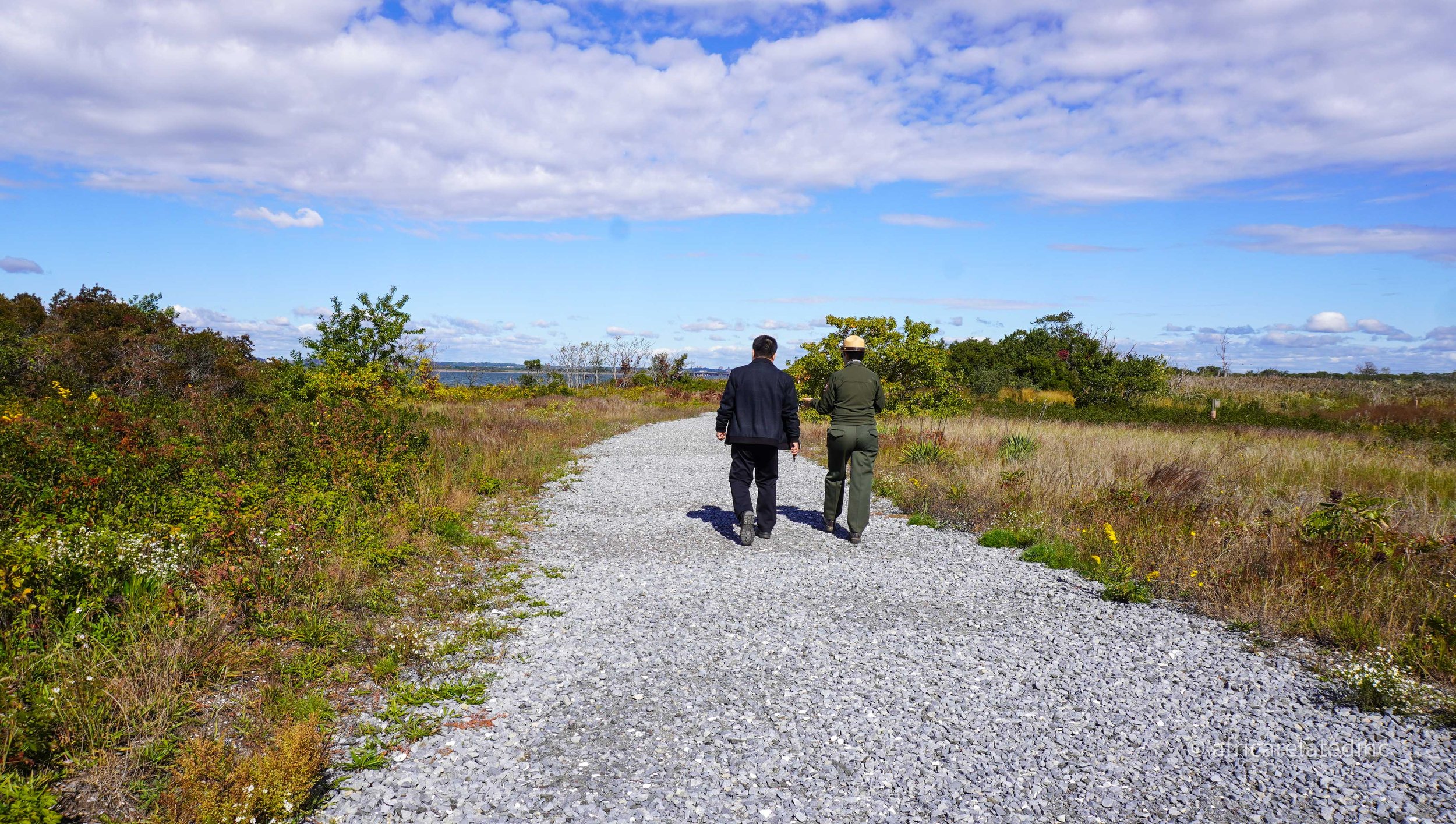 ARInc  - Jamaica Bay-47.jpg