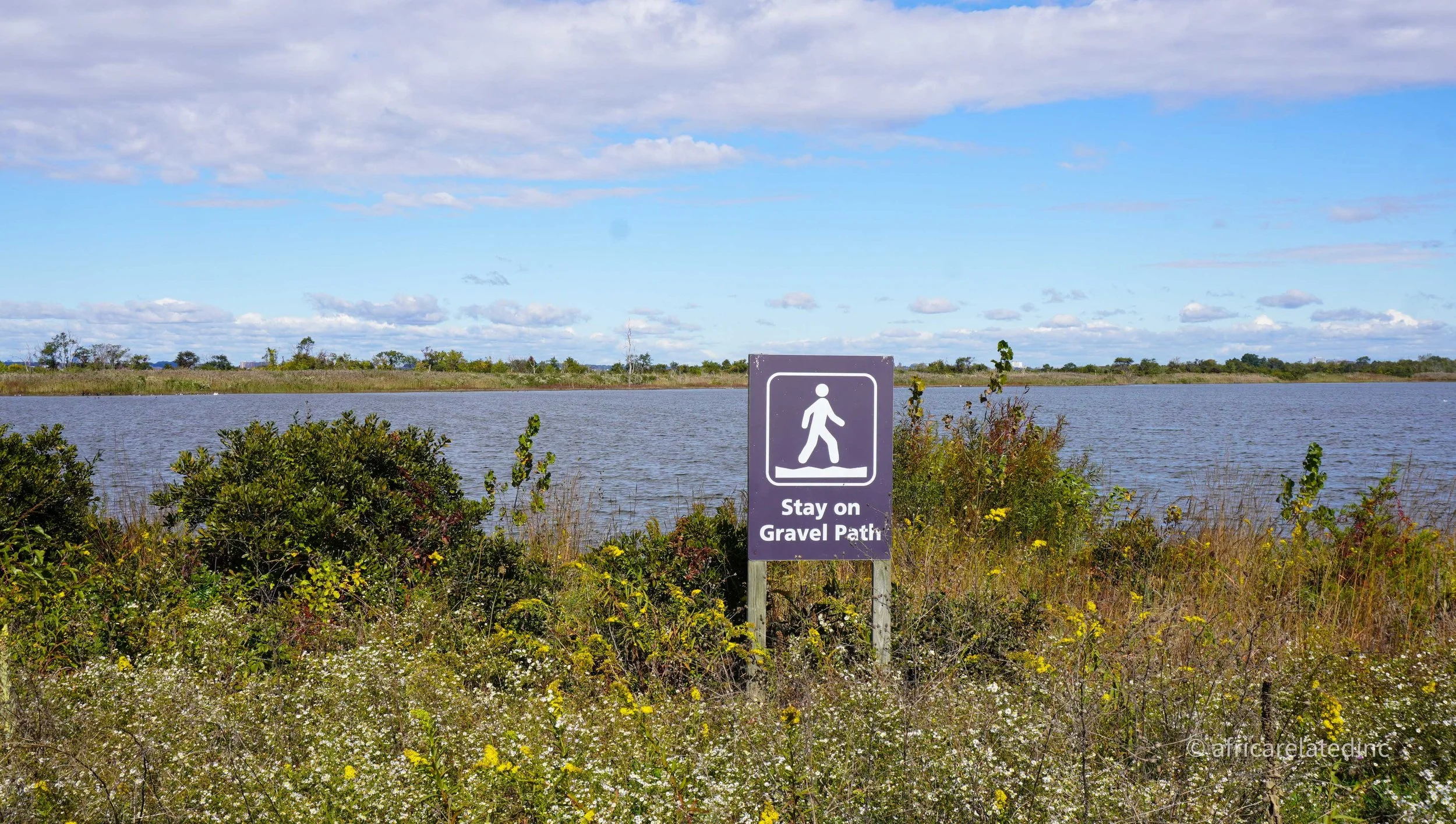 ARInc  - Jamaica Bay-50.jpg