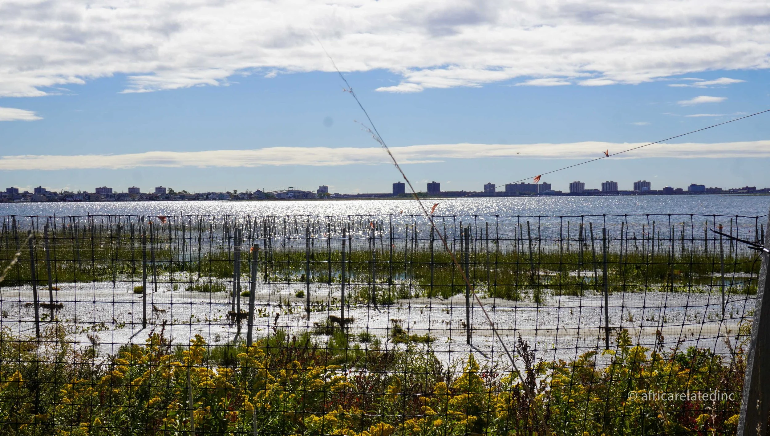 ARInc  - Jamaica Bay-53.jpg