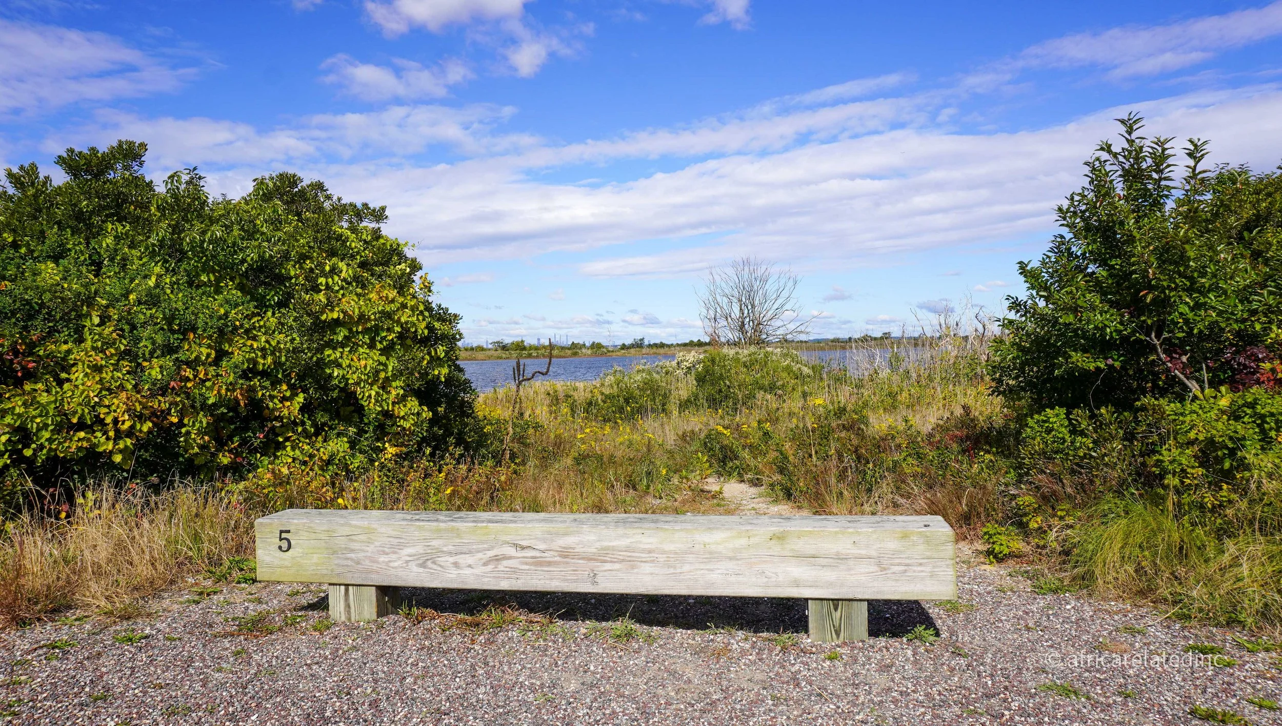ARInc  - Jamaica Bay-58.jpg