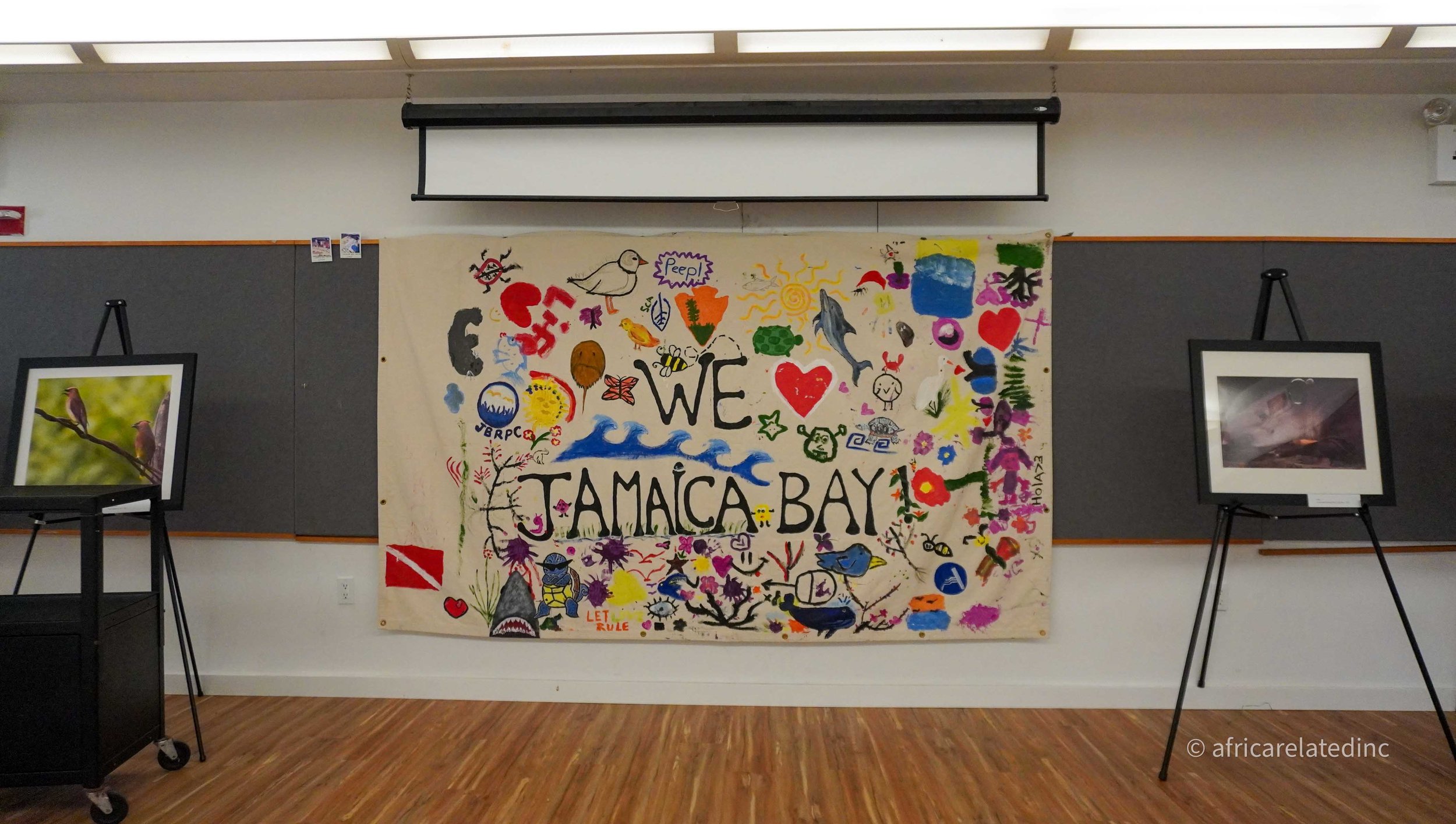 ARInc  - Jamaica Bay-70.jpg