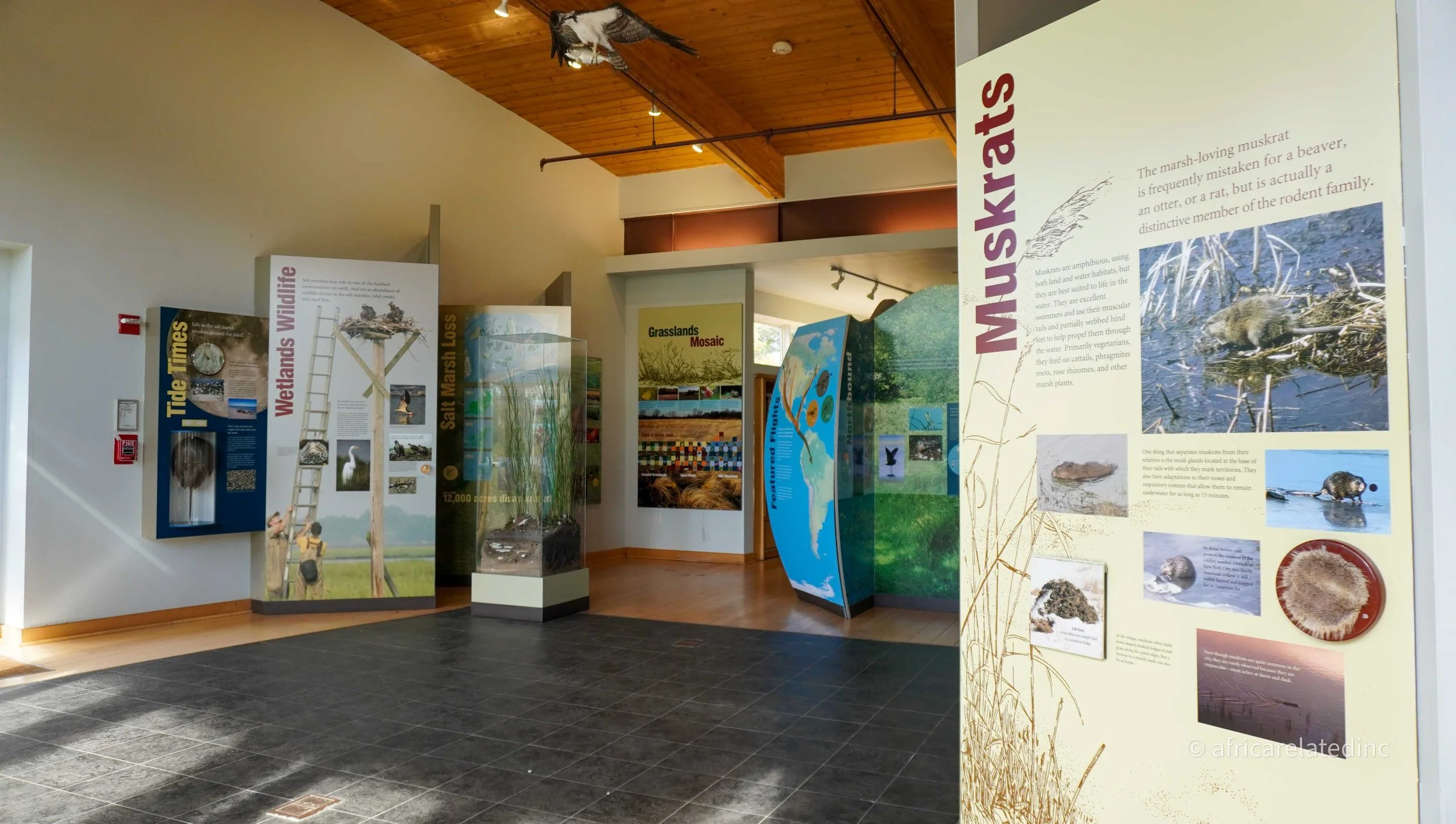 ARInc  - Jamaica Bay-74.jpg