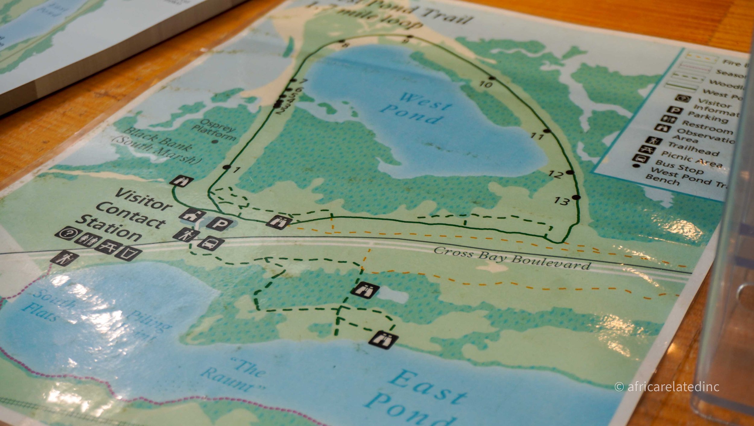 ARInc  - Jamaica Bay-81.jpg