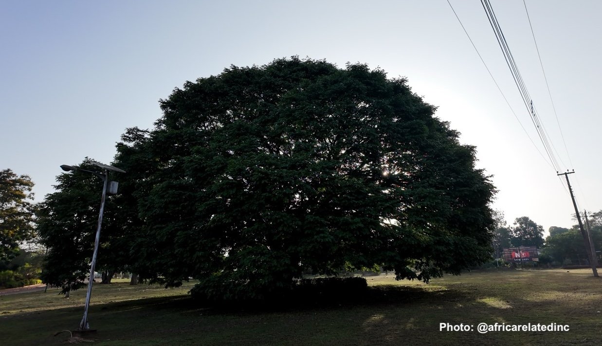 AR Nsukka - 0430072922_0264 .jpeg