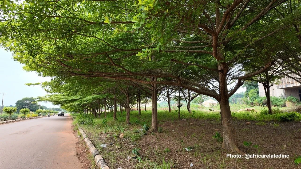 AR Nsukka -29114735_0190 .jpeg