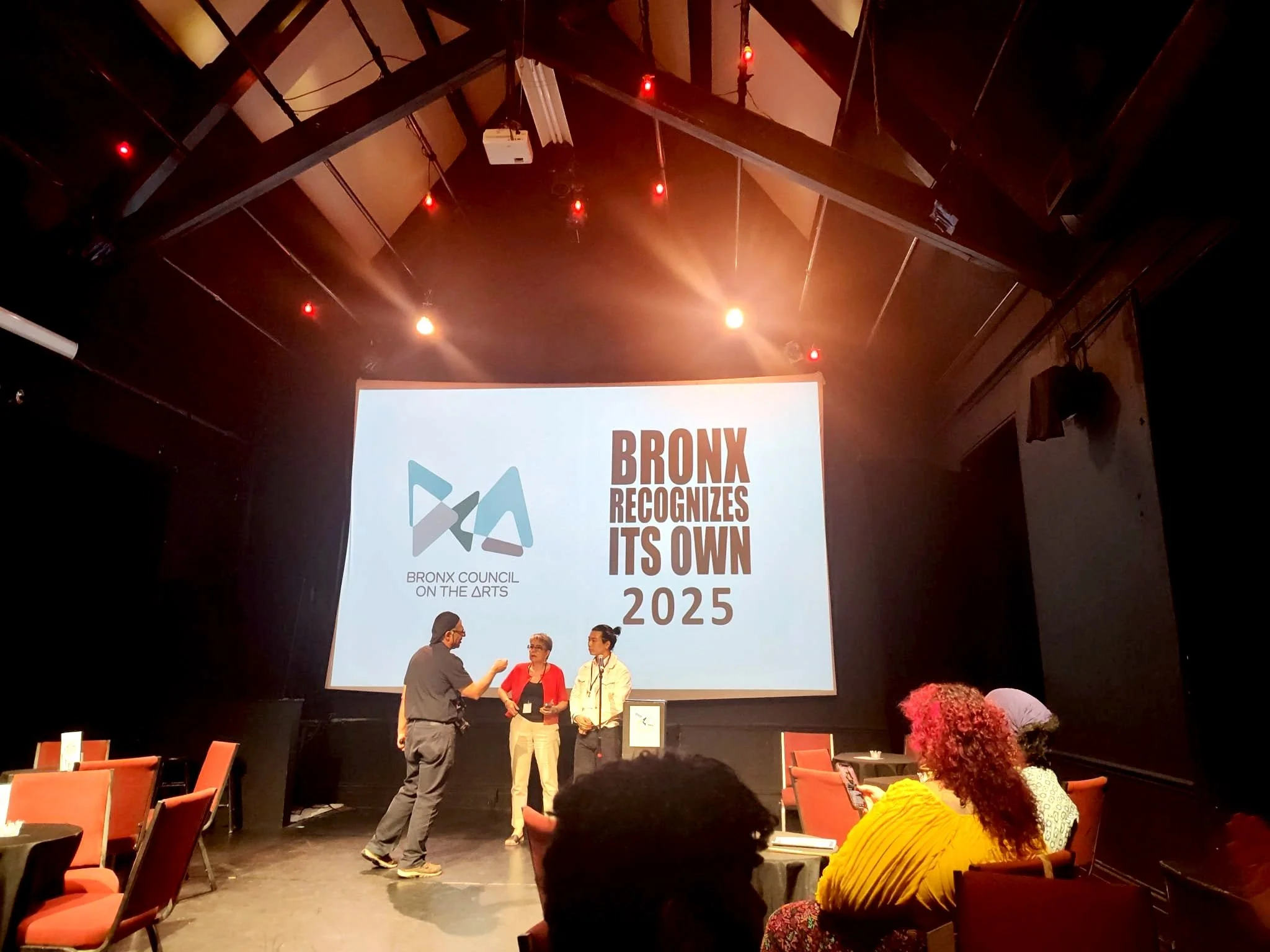 Oyiza Adaba Bags 2025 'Bronx Recognizes Its Own' (BRIO) Award