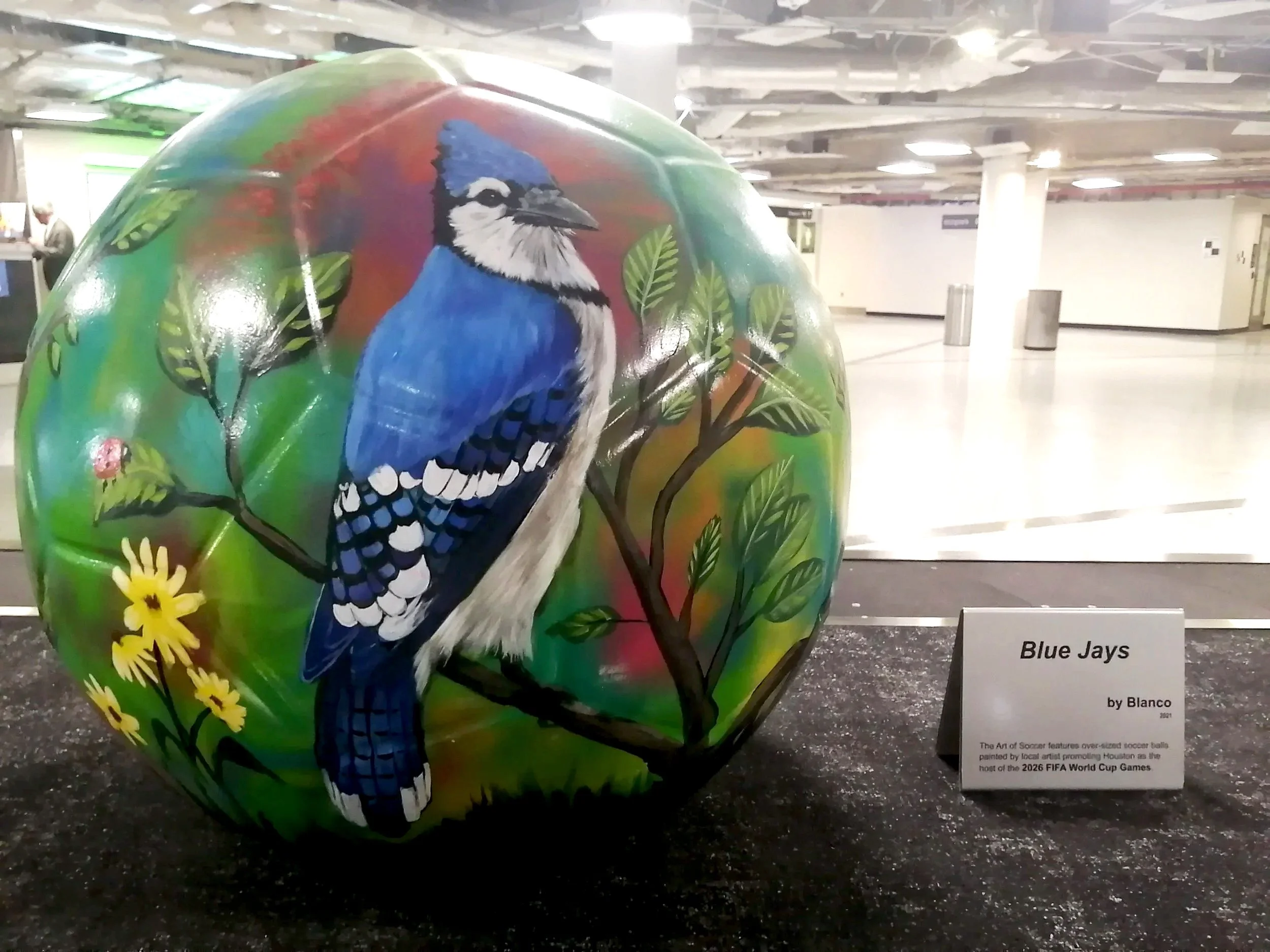 'Blue Jays' by Blanco