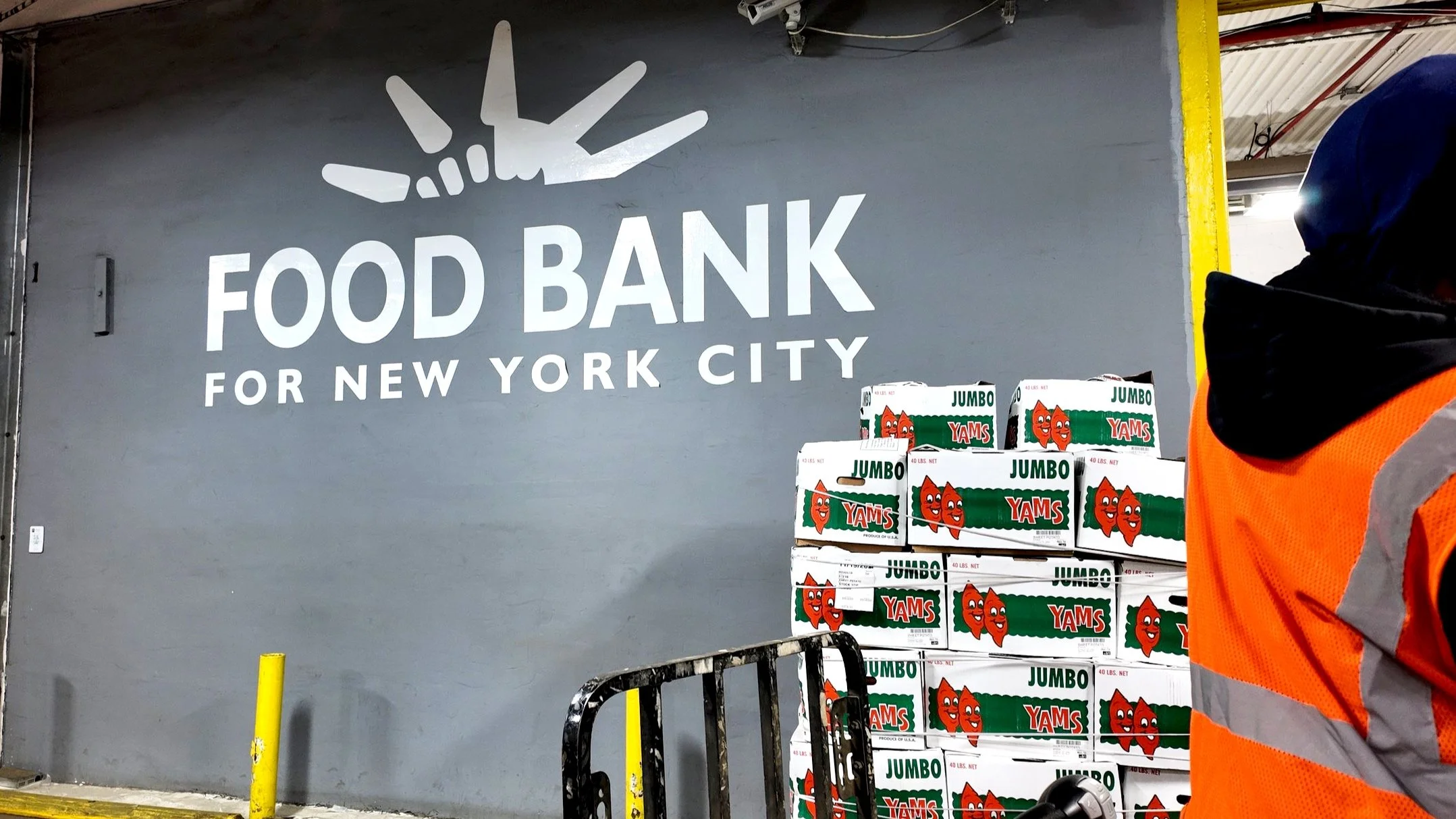 Food Bank America Tackles Food Insecurity