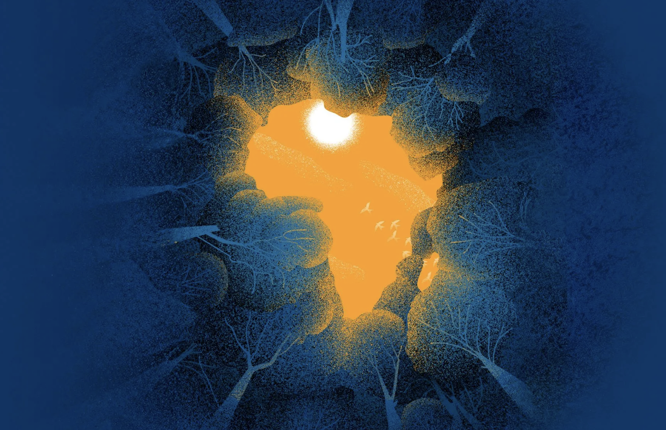 Where Should Africa Turn? BOOKINGS Publishes Foresight Africa 2024