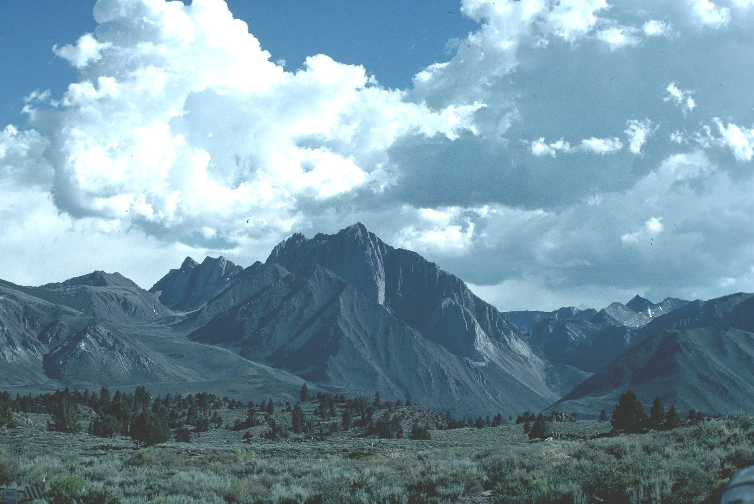 Mt. Morrison.JPG