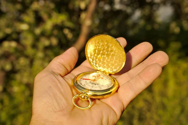 Hvad er dit kompas i dit arbejdsliv?