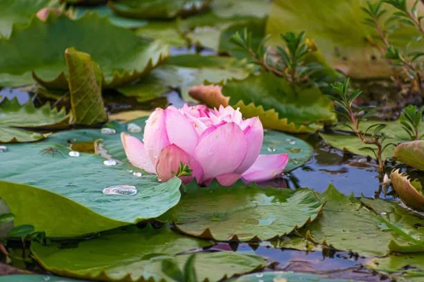 Do your goals give you a good life?